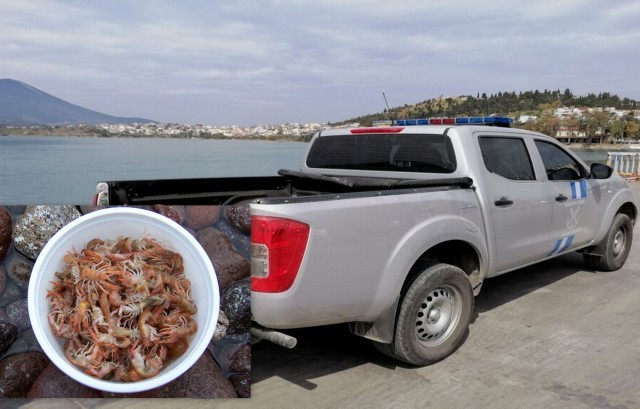 ΛΙΜΕΝΑΡΧΕΙΟ ΧΑΛΚΙΔΑΣ: Κατάσχεσε 30 κιλά ψάρια και 400 καραβιδάκια από παράνομα ψαρέματα