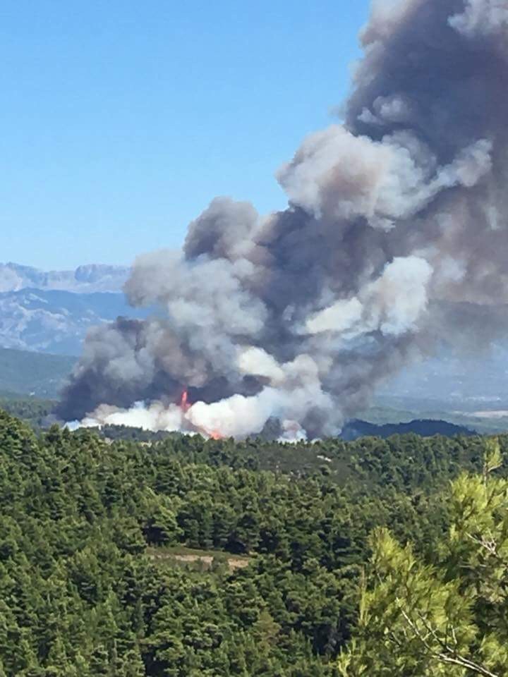 ΦΩΤΙΑ ΚΟΝΤΟΔΕΣΠΟΤΙ: Φεύγουν κάτοικοι και από τα Ψαχνά υπό το φόβο της πυρκαγιάς