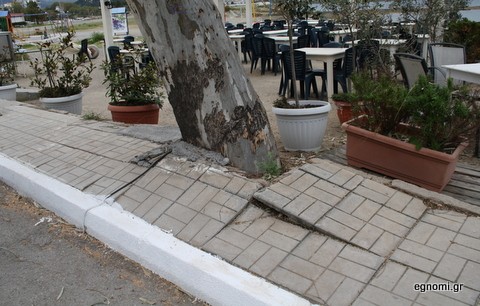 Οι ρίζες των δένδρων διέλυσαν τα πεζοδρόμια