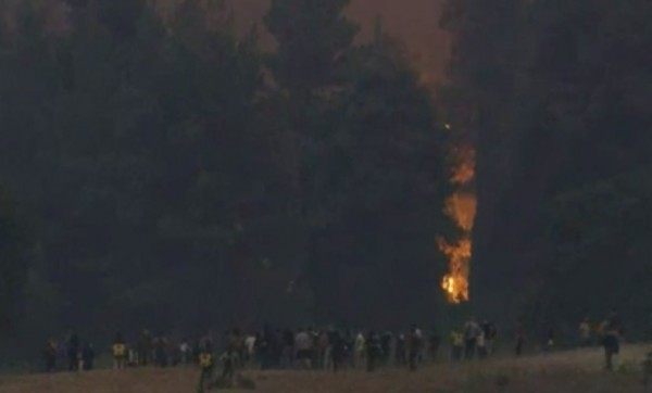 ΦΩΤΙΑ ΒΟΡΕΙΑ ΕΥΒΟΙΑ-ΚΑΜΑΤΡΙΑΔΕΣ: Κάτοικοι-γίγαντες πάλεψαν ηρωικά με το πύρινο θηρίο