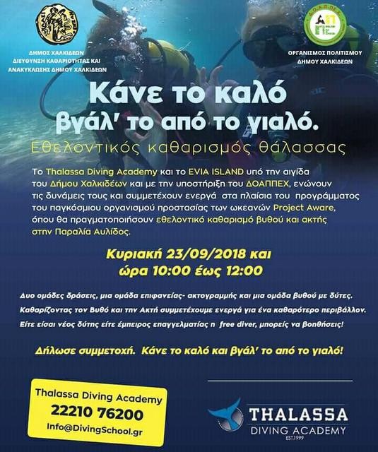 Εθελοντικός καθαρισμός βυθού και ακτής στην Παραλία Αυλίδας