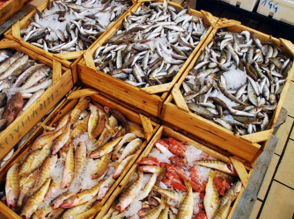 Βρέθηκαν 57 κιλά ορφανά αλιεύματα στην Ιχθυόσκαλα της Χαλκίδας