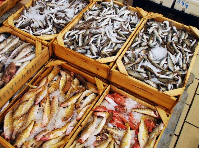 Βρέθηκαν 57 κιλά ορφανά αλιεύματα στην Ιχθυόσκαλα της Χαλκίδας