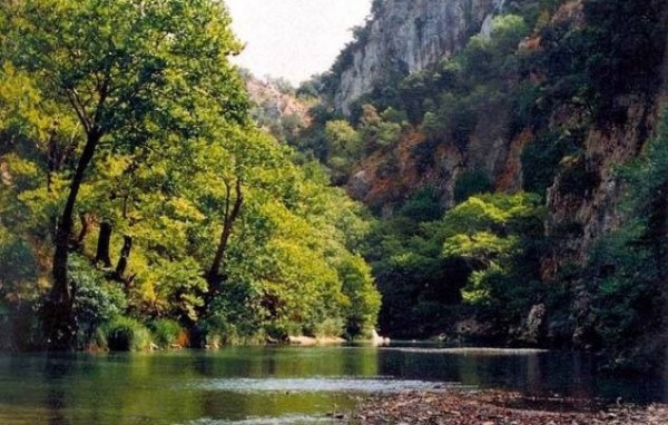 Περιβαλλοντική ομάδα από μαθητές του Λυκείου Καρύστου