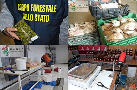 Κρέας πιθήκου και ελιές με γαλαζόπετρα