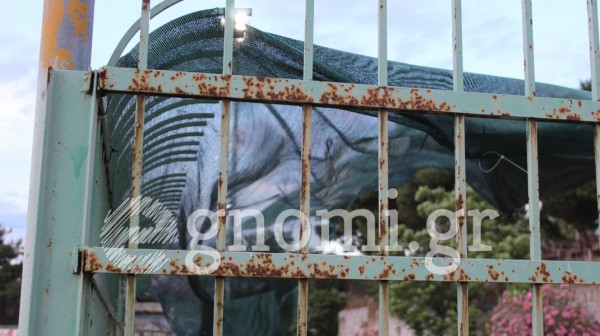 ΧΑΛΚΙΔΑ: Νέο ...μίνι σκέπαστρο από ελαιόπανο στο Δημοτικό Στάδιο της πόλης!
