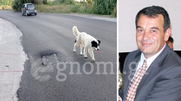 ΑΣΜΗΝΙΟ ΠΕΥΚΙ: Πρόχειρη ασφαλτόστρωση ...ξύπνησε εφιάλτη!