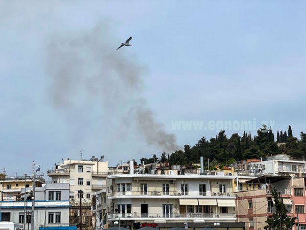 ΧΑΛΚΙΔΑ: Έσβησε γρήγορα η φωτιά στο Κάστρο της Κανήθου