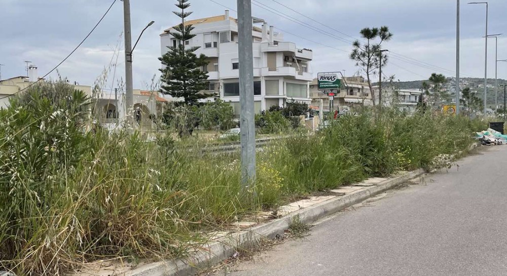 ΧΑΛΚΙΔΑ: Χορτάριασαν όλοι οι δρόμοι