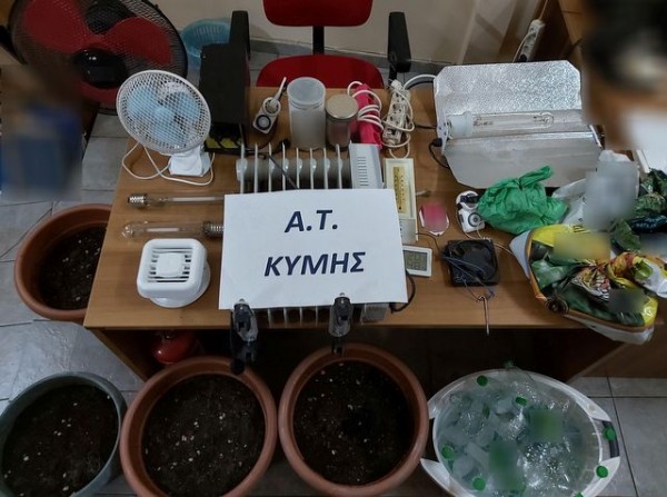 ΚΥΜΗ: Συνελήφθησαν τρία άτομα για καλλιέργεια κάνναβης