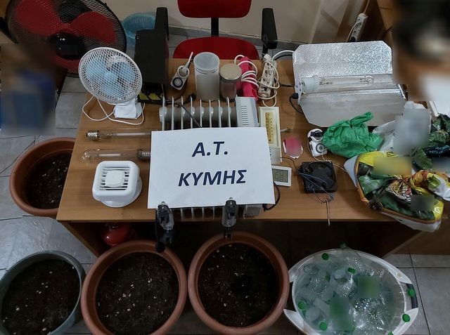 ΚΥΜΗ: Συνελήφθησαν τρία άτομα για καλλιέργεια κάνναβης