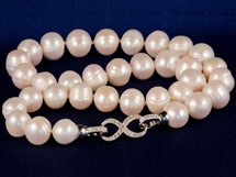 Εφαγε 60 μπανάνες μέσα σε μια μέρα