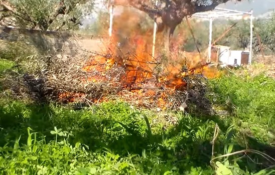 ΕΥΒΟΙΑ: Νέα σύλληψη για πρόκληση πυρκαγιάς σε αγροτική έκταση