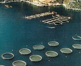 Mήνυση κατά 8 υπουργών για τις ιχθυοκαλλιέργειες