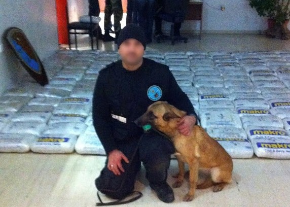 ΛΕΣΥ: Πέθανε η θρυλική και βραβευμένη σκυλίτσα του Λιμεναρχείου Ηγουμενίτσας