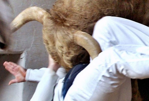 Μαινόμενος ταύρος σκότωσε 82χρονο