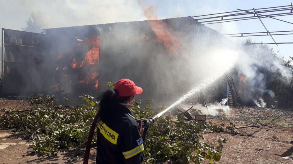 ΑΥΛΩΝΑ: Φωτιά σε κτηνοτροφική μονάδα προκάλεσε εκτενείς υλικές ζημιές
