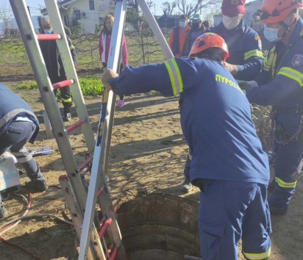 ΛΑΡΙΣΑ: Άλογο έπεσε σε φρεάτιο βάθους 3 μέτρων