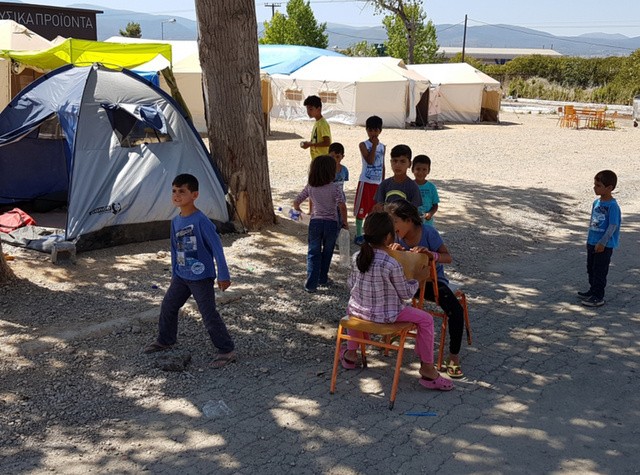 ΟΙΝΟΦΥΤΑ: Έπεσε δένδρο και τραυμάτισε επτά άτομα